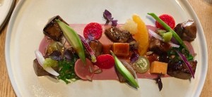 Ceviche Nikkei mit Thunfisch-Gurke-Avocado-Ingwer